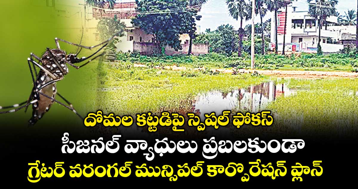 దోమల కట్టడిపై స్పెషల్ ఫోకస్ .. సీజనల్ వ్యాధులు ప్రబలకుండా గ్రేటర్ వరంగల్ మున్సిపల్ కార్పొరేషన్ ప్లాన్