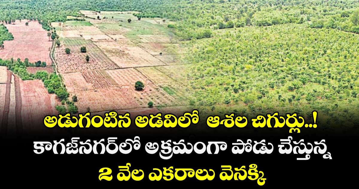 అడుగంటిన అడవిలో ఆశల చిగుర్లు..! కాగజ్నగర్లో అక్రమంగా పోడు చేస్తున్న 2 వేల ఎకరాలు వెనక్కి