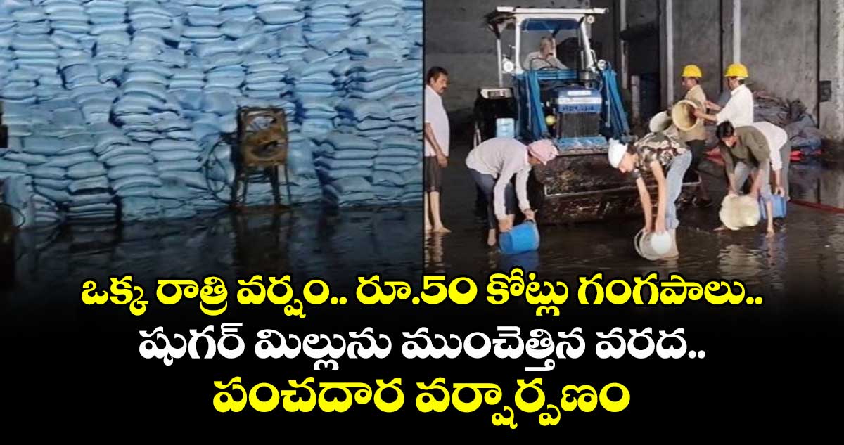 ఒక్క రాత్రి వర్షం.. రూ.50 కోట్లు గంగపాలు.. షుగర్ మిల్లును ముంచెత్తిన వరద.. పంచదార వర్షార్పణం