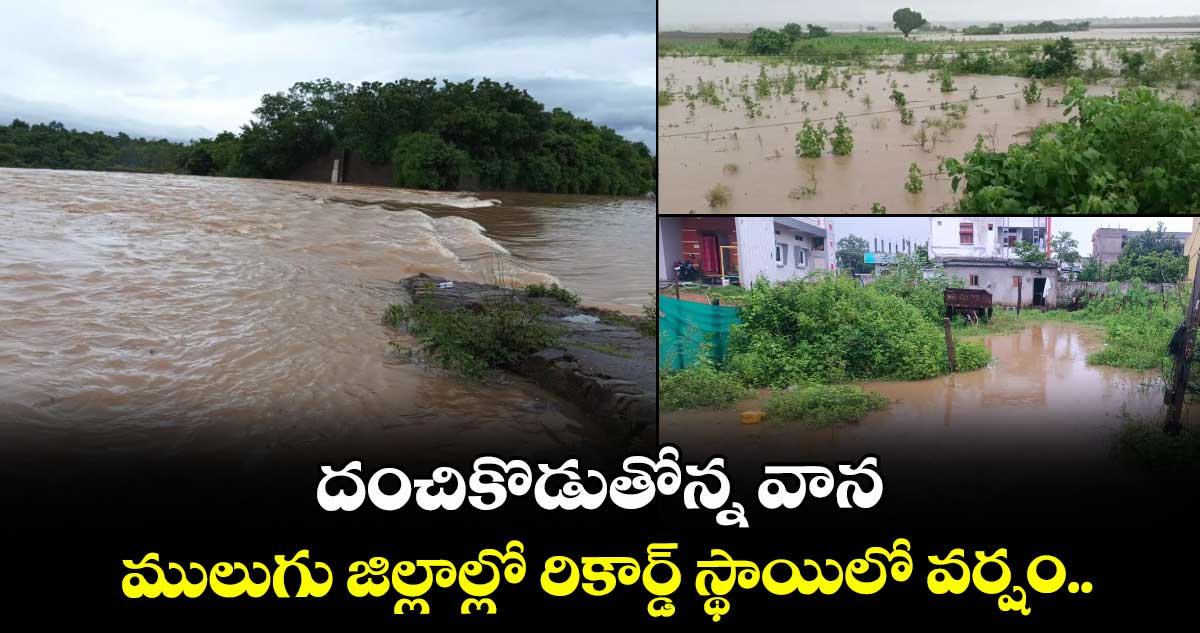 దంచికొడుతోన్న వాన.. ములుగు జిల్లాల్లో రికార్డ్ స్థాయిలో వర్షం..