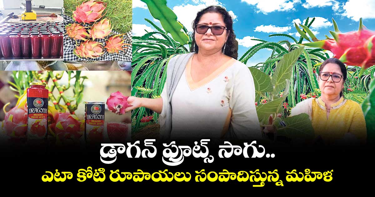 డ్రాగన్ ఫ్రూట్స్‌‌‌‌  సాగు.. ఏటా  కోటి రూపాయలు సంపాదిస్తున్న మహిళ