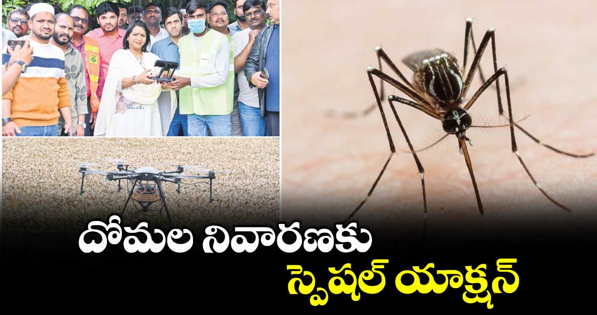 దోమల నివారణకు స్పెషల్ యాక్షన్ : మేయర్  విజయలక్ష్మి