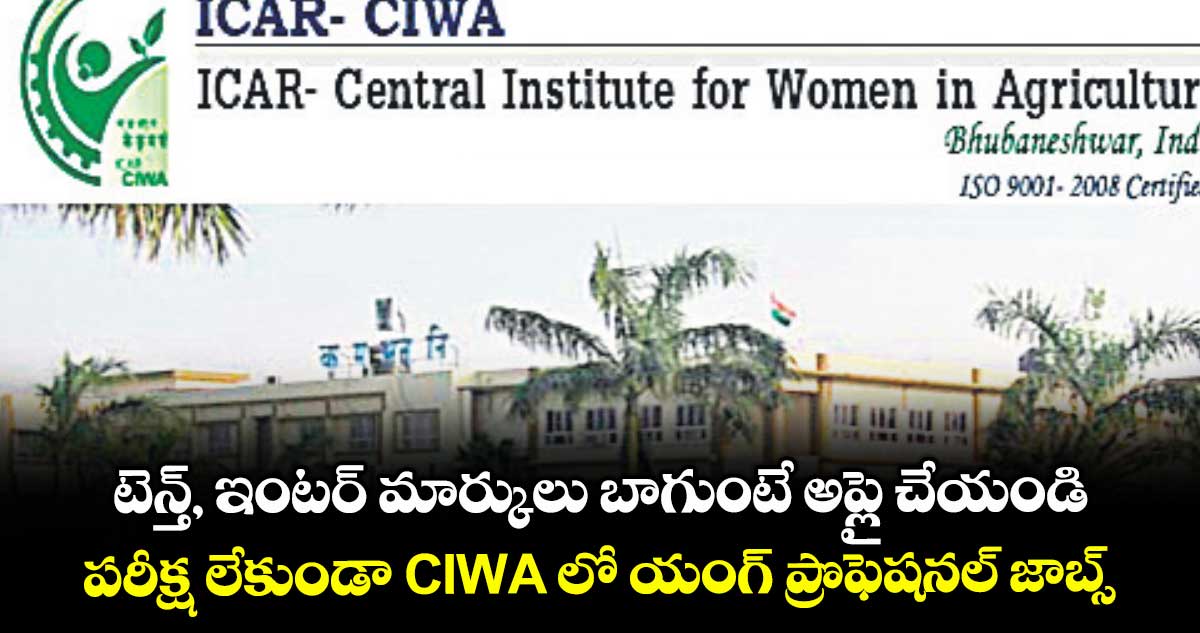 టెన్త్, ఇంటర్ మార్కులు బాగుంటే అప్లై చేయండి.. పరీక్ష లేకుండా CIWA లో యంగ్ ప్రొఫెషనల్ జాబ్స్