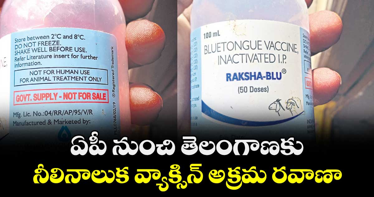 ఏపీ నుంచి తెలంగాణకు నీలినాలుక వ్యాక్సిన్ అక్రమ రవాణా