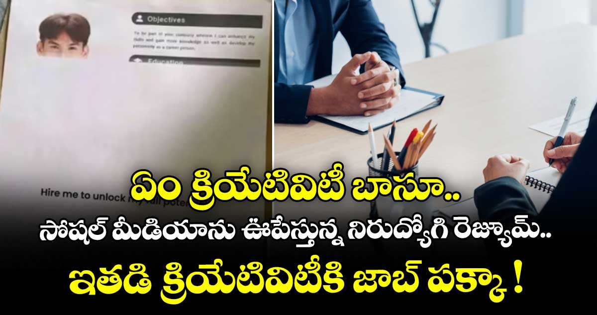 ఏం క్రియేటివిటీ బాసూ.. సోషల్ మీడియాను ఊపేస్తున్న నిరుద్యోగి రెజ్యూమ్.. ఇతడి క్రియేటివిటీకి జాబ్ పక్కా !