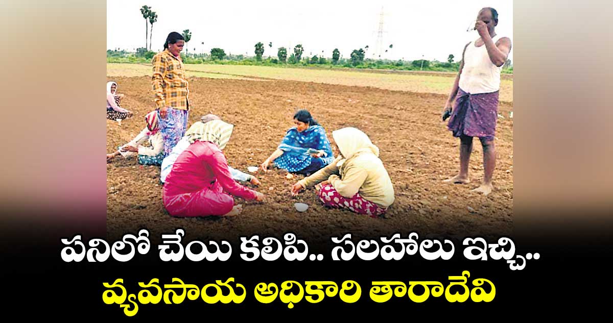 పనిలో చేయి కలిపి.. సలహాలు ఇచ్చి.. వ్యవసాయ అధికారి తారాదేవి
