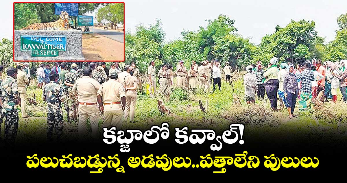 కబ్జాలో కవ్వాల్!.. పలుచబడ్తున్న అడవులు..పత్తాలేని పులులు