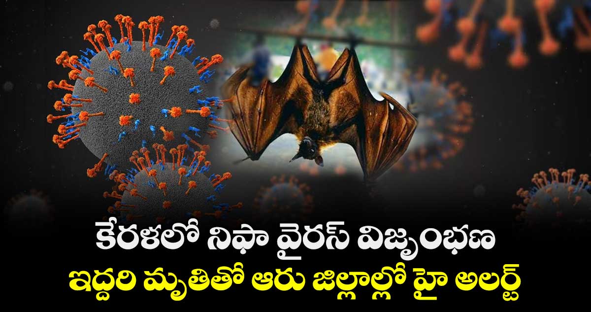 కేరళలో నిఫా వైరస్ విజృంభణ: ఇద్దరి మృతితో ఆరు జిల్లాల్లో హై అలర్ట్
