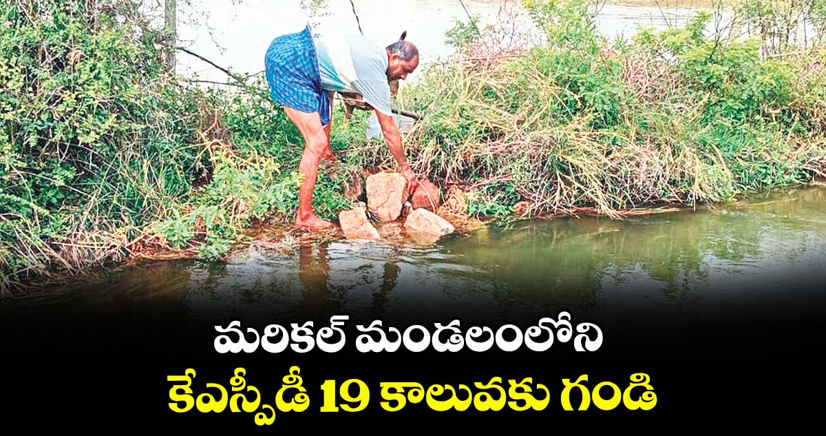 మరికల్ మండలంలోని కేఎస్పీడీ 19 కాలువకు గండి