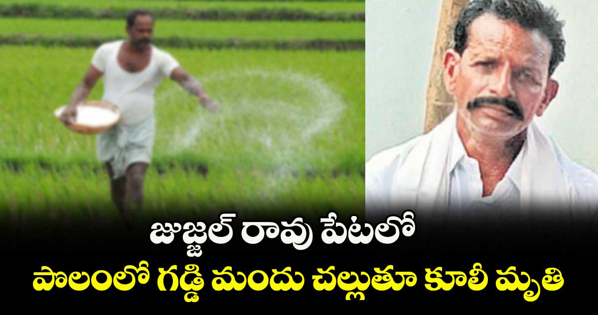 జుజ్జల్ రావు పేటలో పొలంలో గడ్డి మందు చల్లుతూ కూలీ మృతి