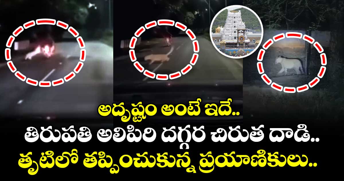 అదృష్టం అంటే ఇదే.. తిరుపతి అలిపిరి దగ్గర చిరుత దాడి..  తృటిలో తప్పించుకున్న ప్రయాణికులు.. 