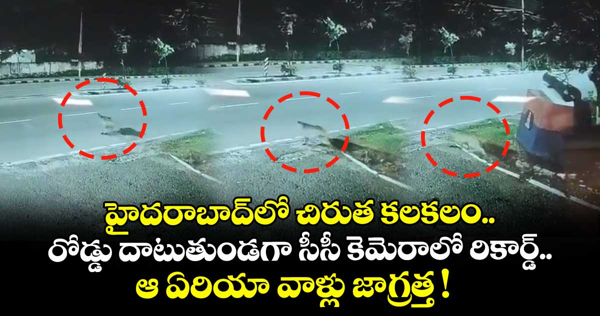 హైదరాబాద్⁭లో చిరుత కలకలం.. రోడ్డు దాటుతుండగా సీసీ కెమెరాలో రికార్డ్.. ఆ ఏరియా వాళ్లు జాగ్రత్త ! 