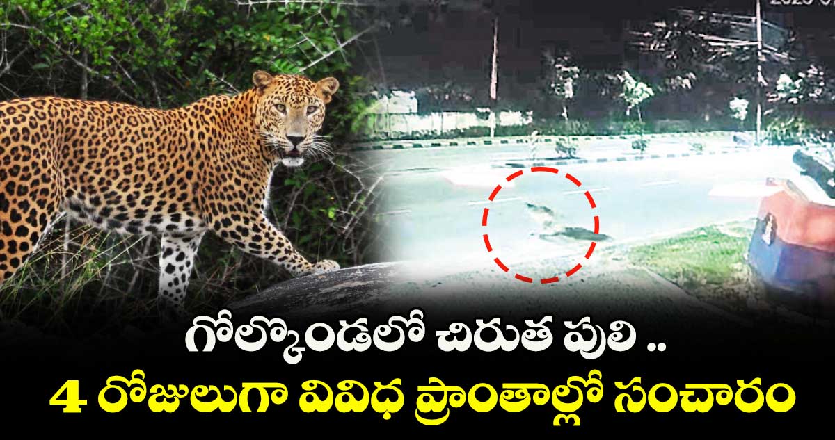 గోల్కొండలో చిరుత పులి .. 4 రోజులుగా వివిధ ప్రాంతాల్లో సంచారం
