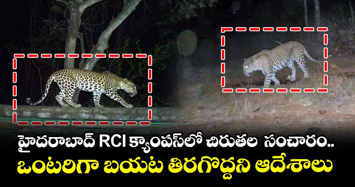 హైదరాబాద్ RCI క్యాంపస్⁬లో చిరుతల  సంచారం.. ఒంటరిగా బయట తిరగొద్దని ఆదేశాలు 