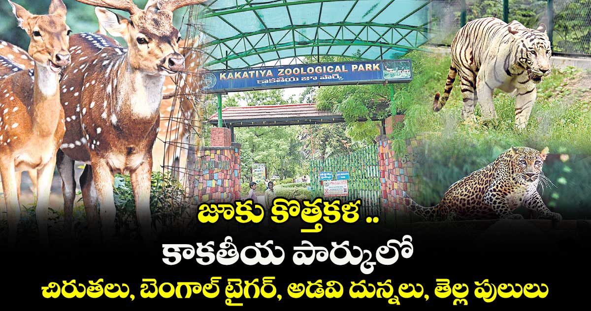 జూకు కొత్తకళ .. కాకతీయ పార్కులో చిరుతలు, బెంగాల్ టైగర్, అడవి దున్నలు, తెల్ల పులులు