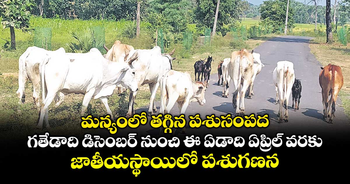 మన్యంలో తగ్గిన పశుసంపద .. గతేడాది డిసెంబర్ నుంచి ఈ ఏడాది ఏప్రిల్ వరకు జాతీయస్థాయిలో పశుగణన 