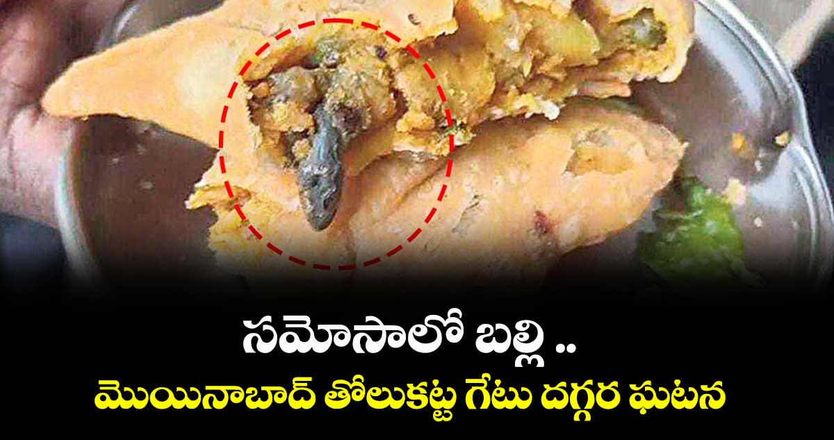 సమోసాలో బల్లి .. మొయినాబాద్ తోలుకట్ట గేటు దగ్గర ఘటన 