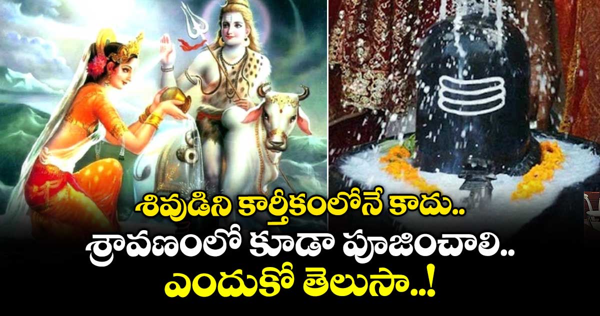 ఆధ్యాత్మికం: శివుడిని కార్తీకంలోనే కాదు.... శ్రావణంలో కూడా పూజించాలి... ఎందుకో తెలుసా..!
