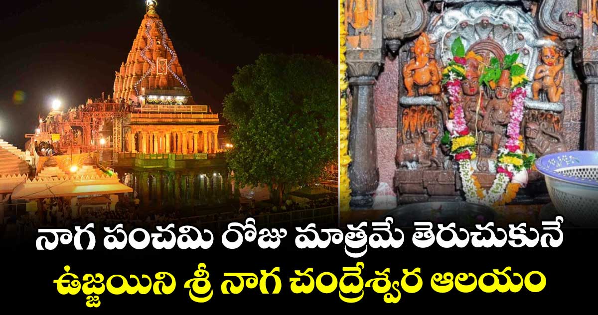 నాగ పంచమి రోజు మాత్రమే తెరుచుకునే ఉజ్జయిని శ్రీ నాగ చంద్రేశ్వర ఆలయం 