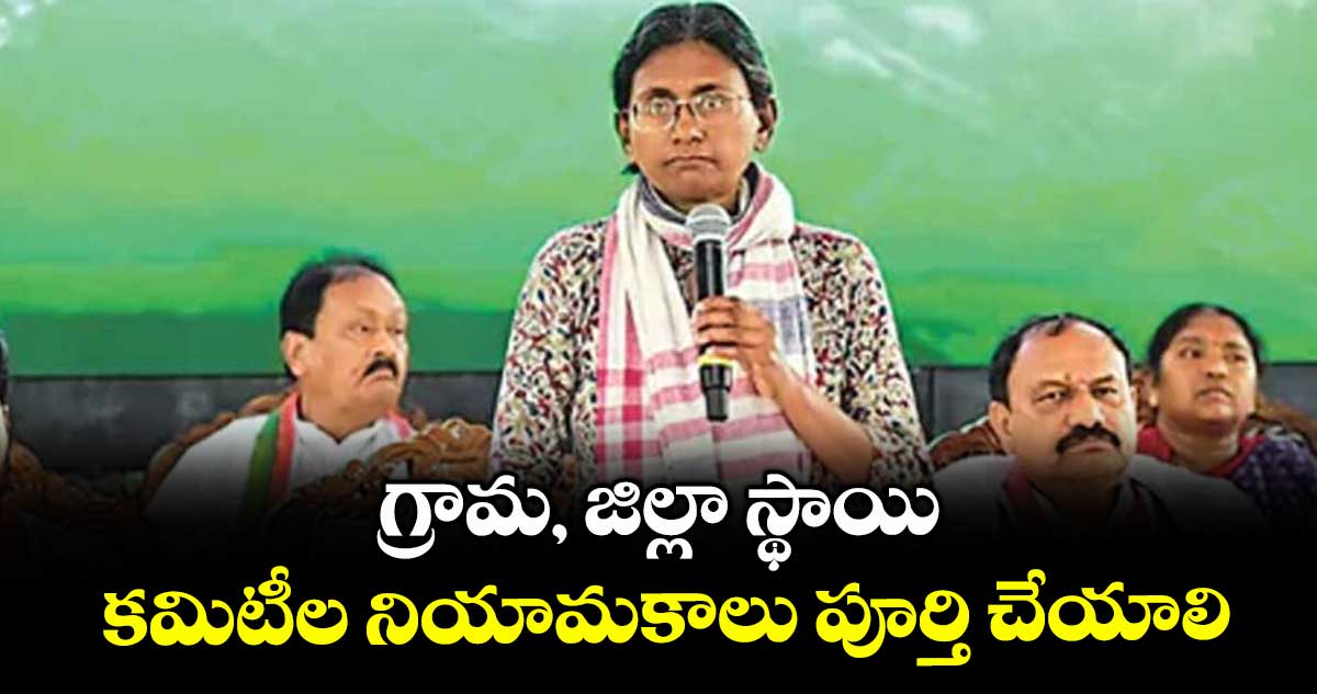 గ్రామ, జిల్లా స్థాయి కమిటీల నియామకాలు పూర్తి చేయాలి