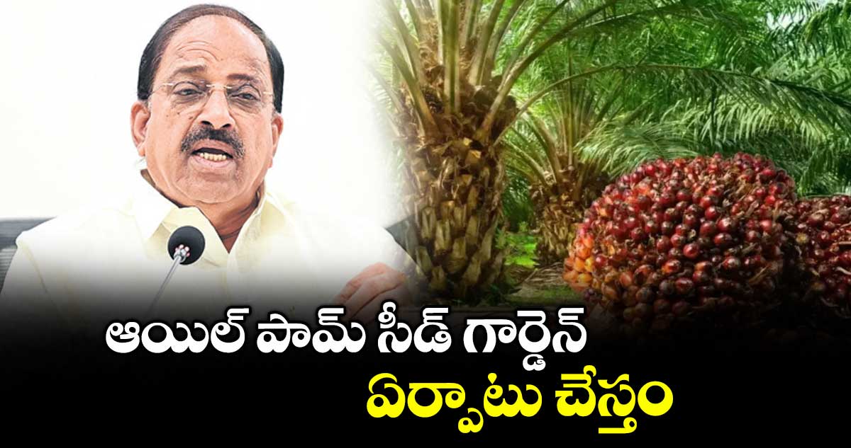 ఆయిల్ పామ్ సీడ్ గార్డెన్ ఏర్పాటు చేస్తం : మంత్రి తుమ్మల నాగేశ్వరరావు