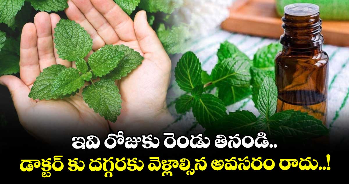 Good Health: ఇవి రోజుకు రెండు తినండి.. డాక్టర్ కు దగ్గరకు వెళ్లాల్సిన అవసరం రాదు..!
