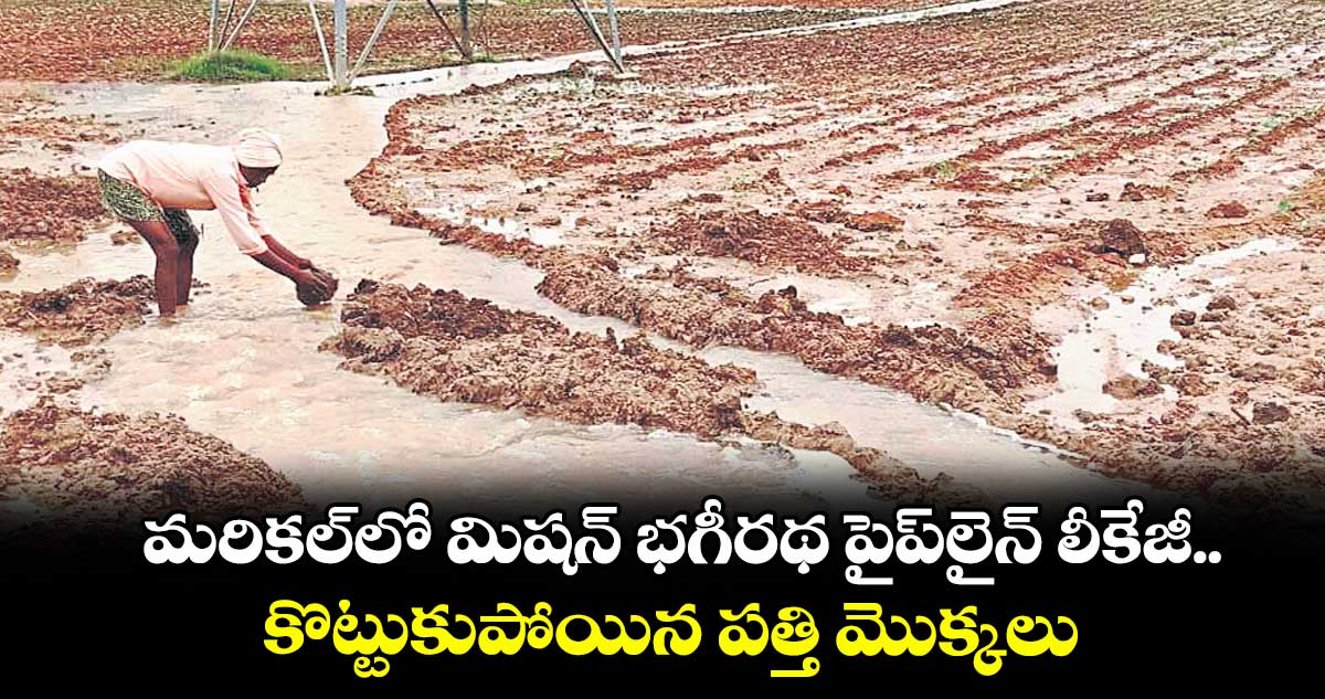 మరికల్లో మిషన్ భగీరథ పైప్లైన్ లీకేజీ..కొట్టుకుపోయిన పత్తి మొక్కలు