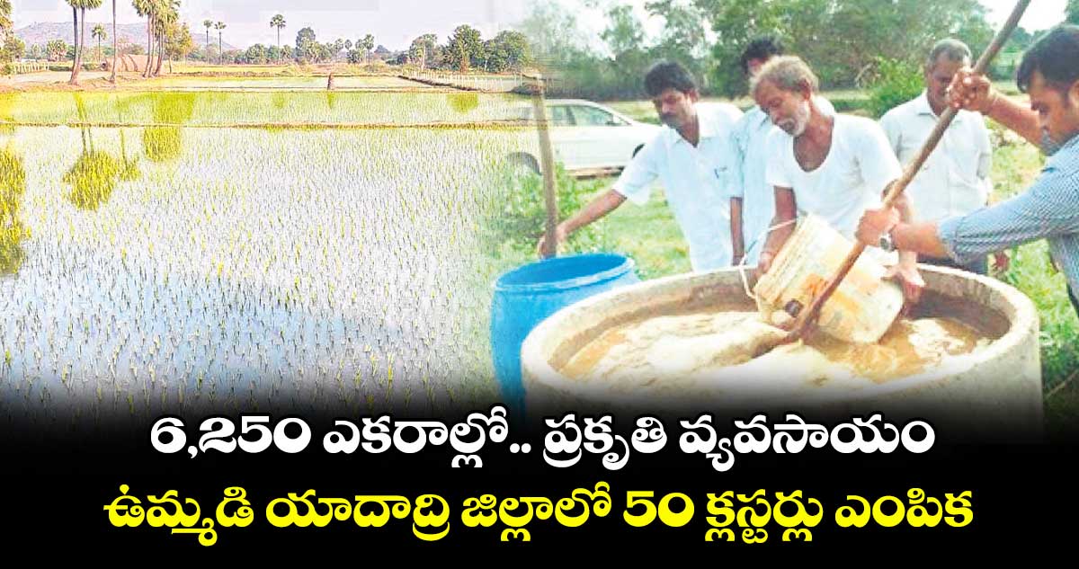 6,250 ఎకరాల్లో.. ప్రకృతి వ్యవసాయం .. ఉమ్మడి యాదాద్రి జిల్లాలో 50 క్లస్టర్లు ఎంపిక