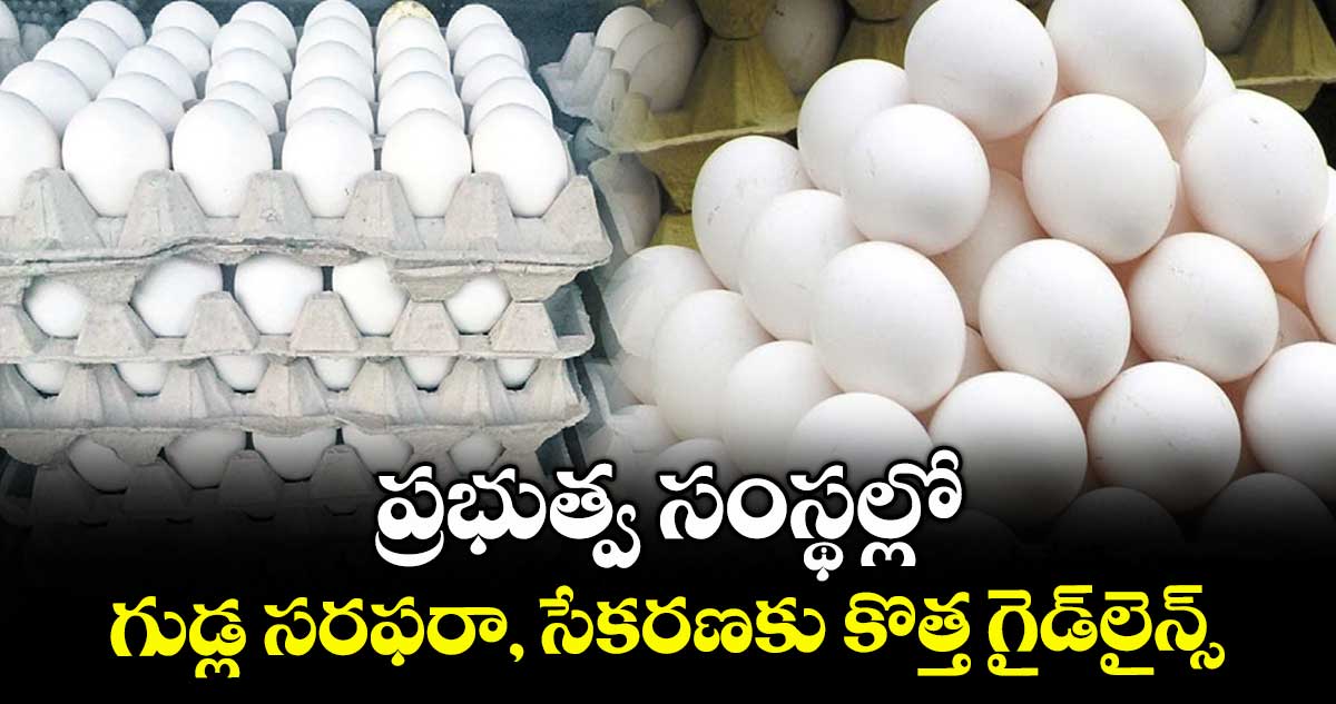 ప్రభుత్వ సంస్థల్లో గుడ్ల సరఫరా, సేకరణకు కొత్త గైడ్లైన్స్