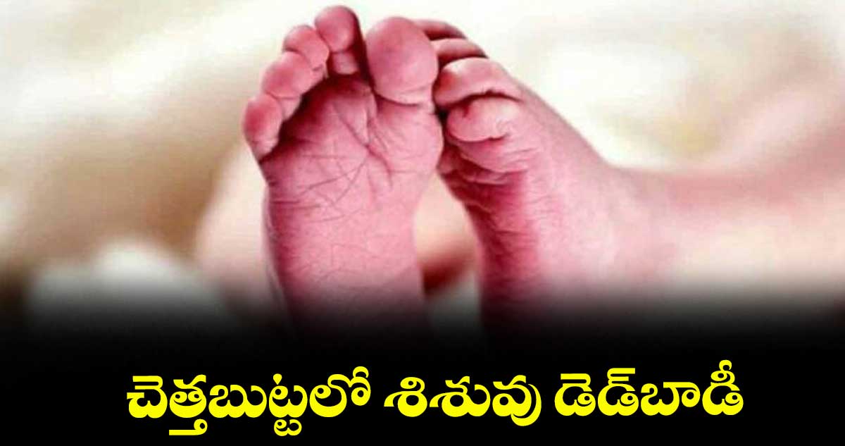 చెత్తబుట్టలో శిశువు డెడ్ బాడీ