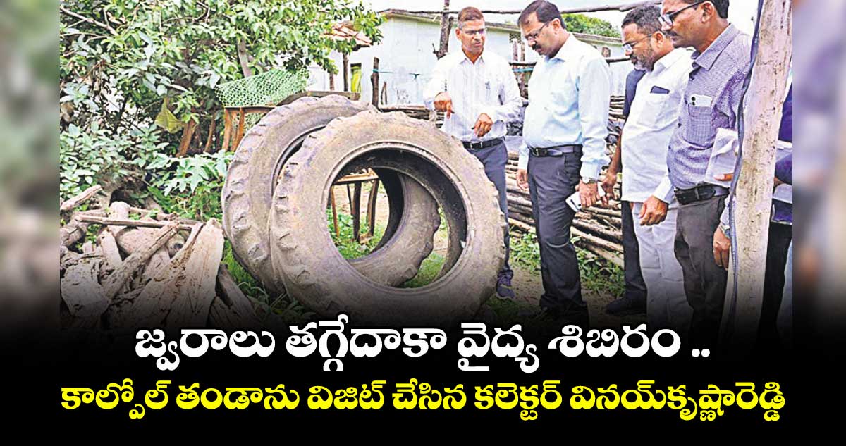 జ్వరాలు తగ్గేదాకా వైద్య శిబిరం .. కాల్పోల్ తండాను విజిట్ చేసిన కలెక్టర్ వినయ్కృష్ణారెడ్డి