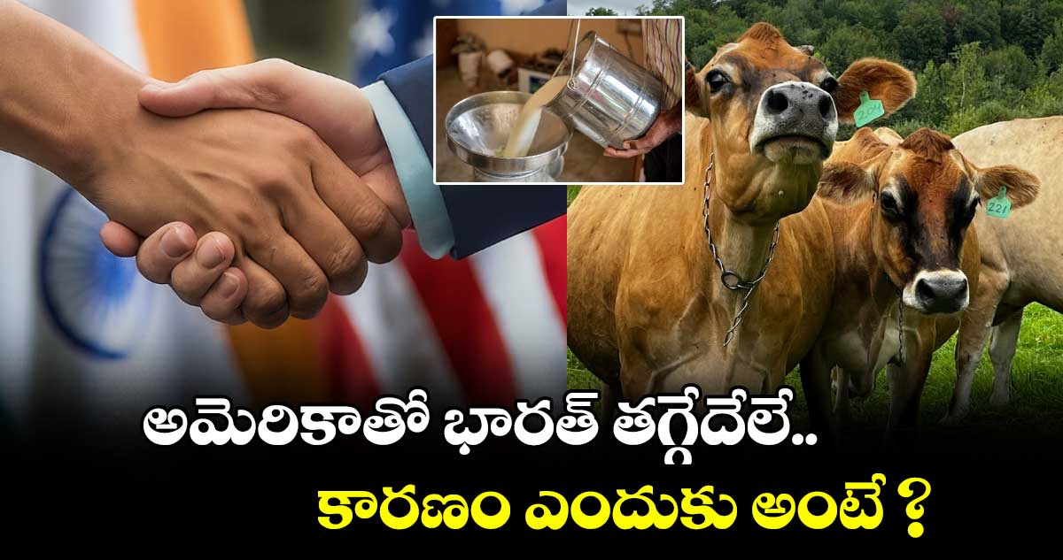 Non-veg milk: అమెరికాతో భారత్ తగ్గేదేలే.. కారణం ఎందుకు అంటే ?