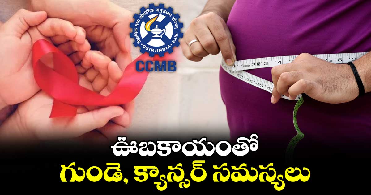 ఊబకాయంతో గుండె, క్యాన్సర్ సమస్యలు