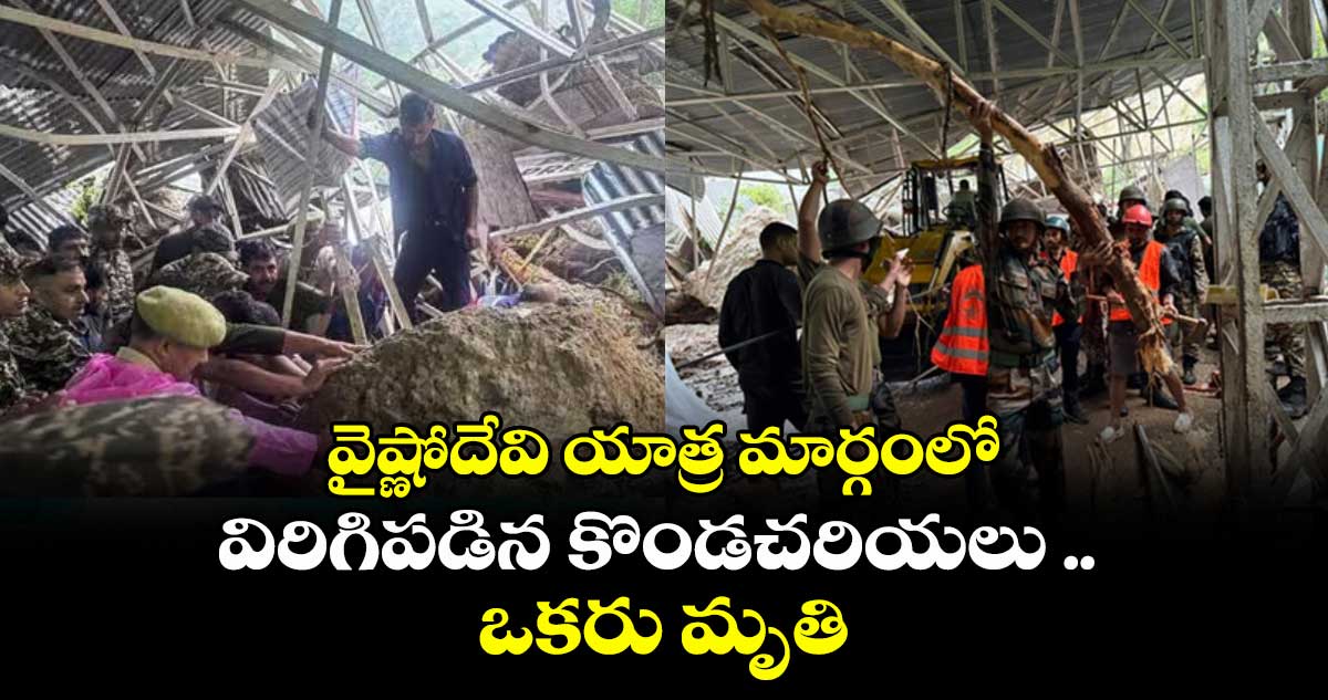 వైష్ణోదేవి యాత్ర మార్గంలో విరిగిపడిన కొండచరియలు .. ఒకరు మృతి
