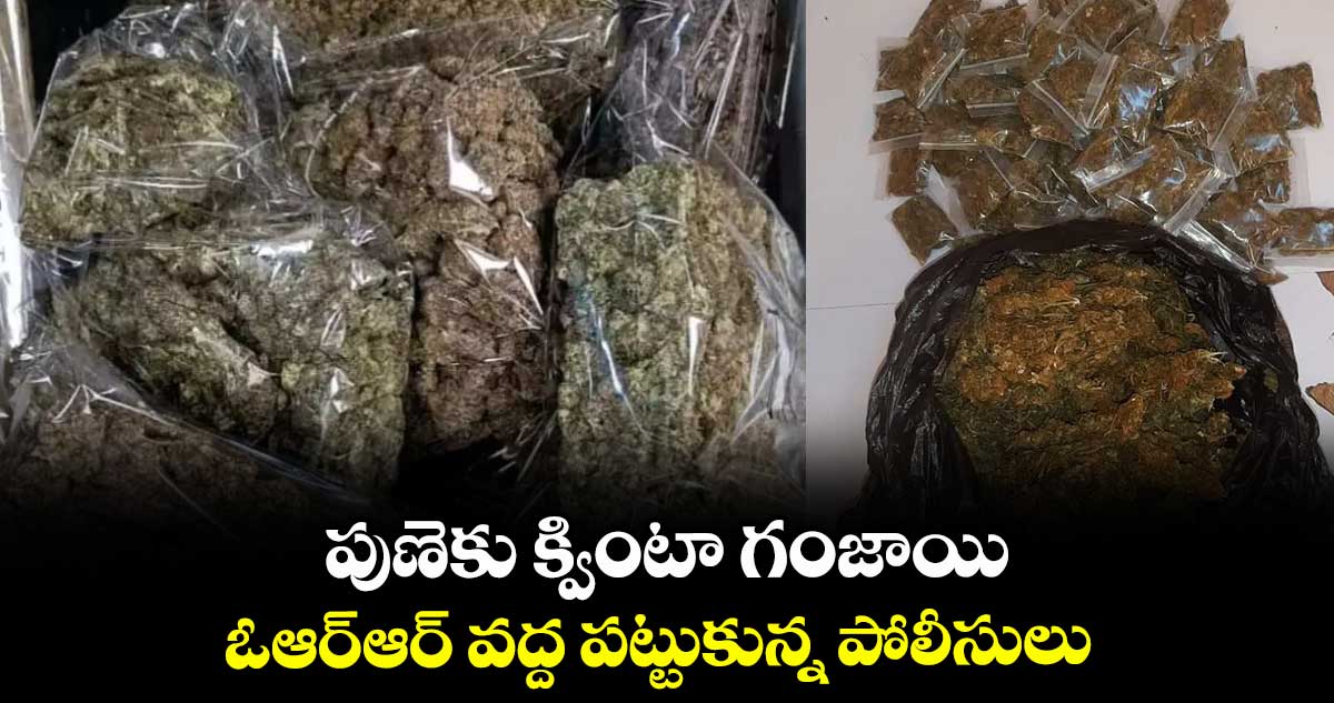 పుణెకు క్వింటా గంజాయి ..ఓఆర్ఆర్ వద్ద పట్టుకున్న పోలీసులు