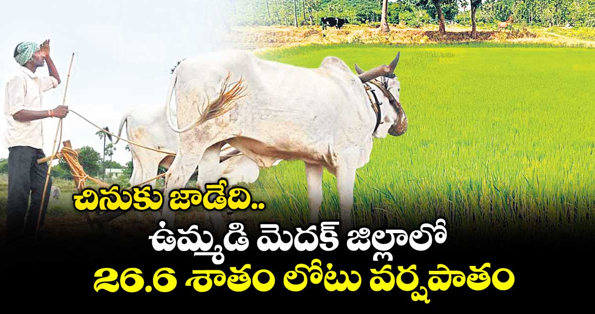 చినుకు జాడేది .. ఉమ్మడి మెదక్ జిల్లాలో 26.6 శాతం లోటు వర్షపాతం
