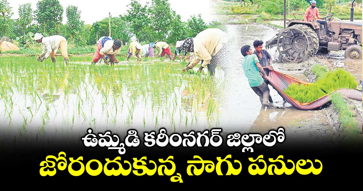 ఉమ్మడి కరీంనగర్ జిల్లాలో జోరందుకున్న సాగు పనులు