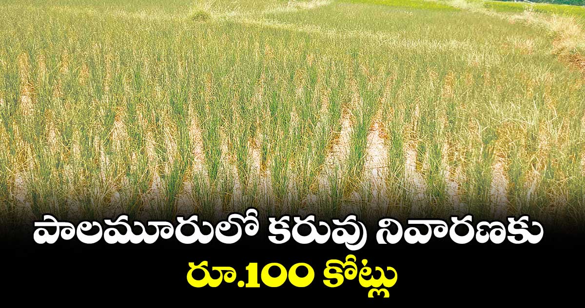 పాలమూరులో కరువు నివారణకు రూ.100 కోట్లు