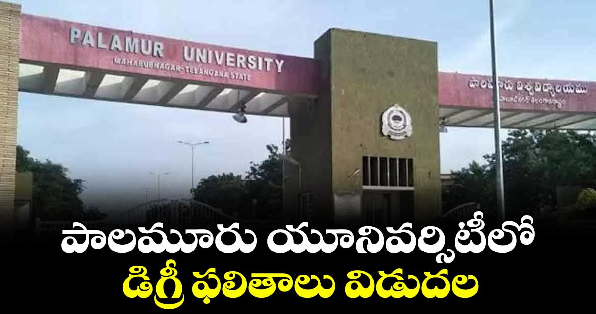 పాలమూరు యూనివర్సిటీలో డిగ్రీ ఫలితాలు విడుదల