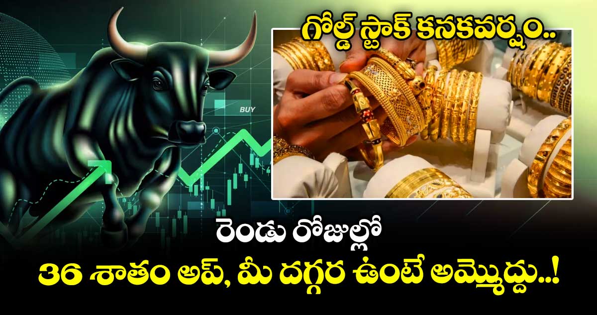 గోల్డ్ స్టాక్ కనకవర్షం.. రెండు రోజుల్లో 36 శాతం అప్, మీ దగ్గర ఉంటే అమ్మెుద్దు..!