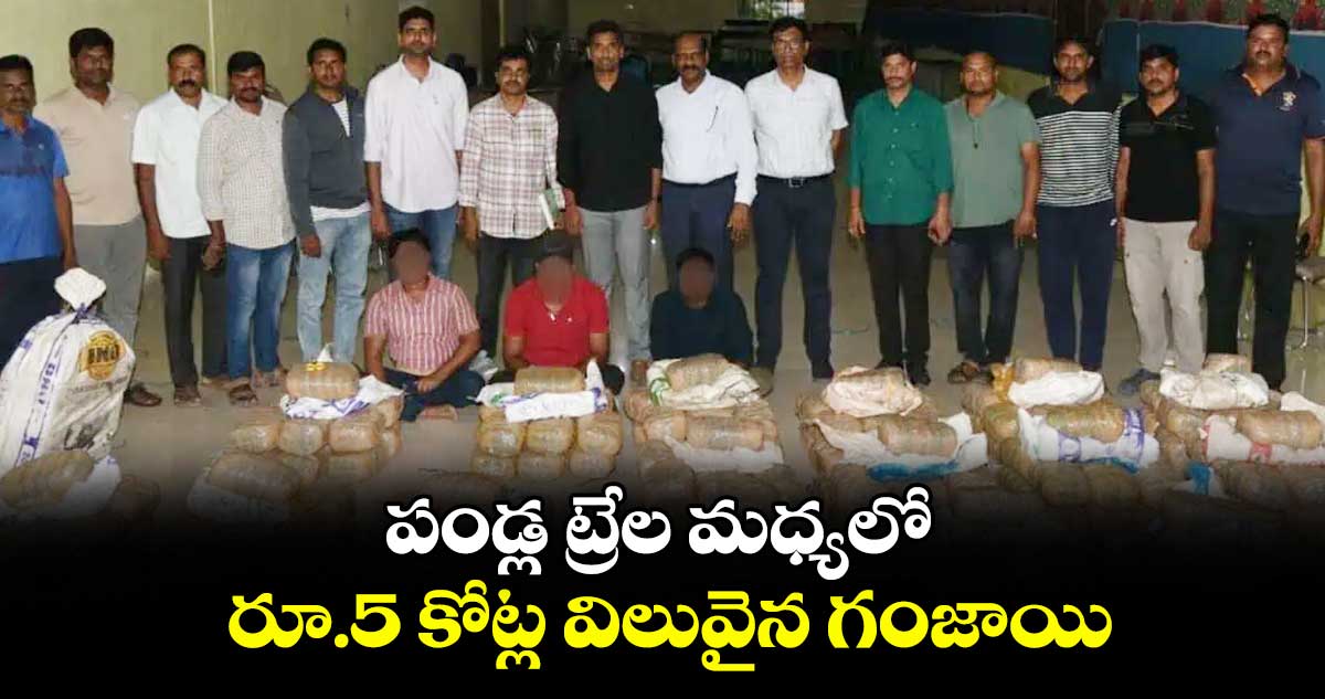 పండ్ల ట్రేల మధ్యలో రూ.5 కోట్ల విలువైన గంజాయి
