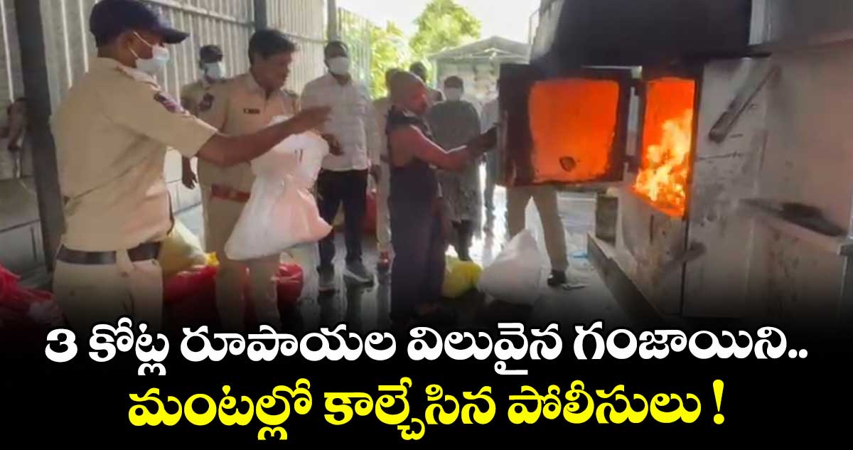 3 కోట్ల రూపాయల విలువైన గంజాయిని.. మంటల్లో కాల్చేసిన పోలీసులు ! 