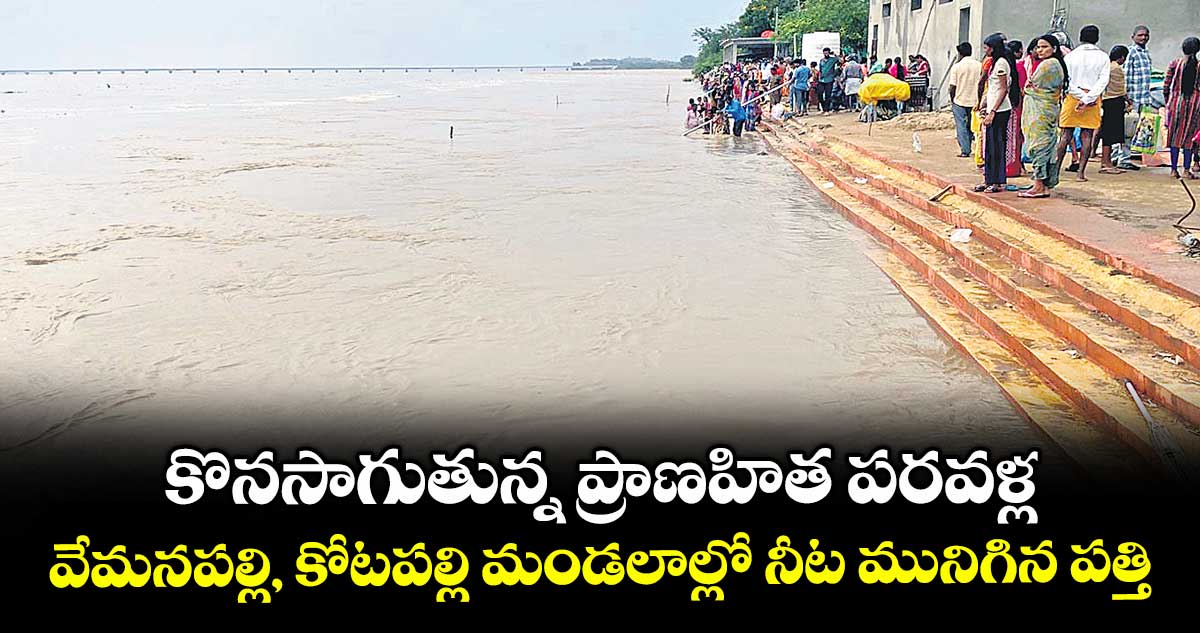 కొనసాగుతున్న ప్రాణహిత పరవళ్ల ...వేమనపల్లి, కోటపల్లి మండలాల్లో నీట మునిగిన పత్తి