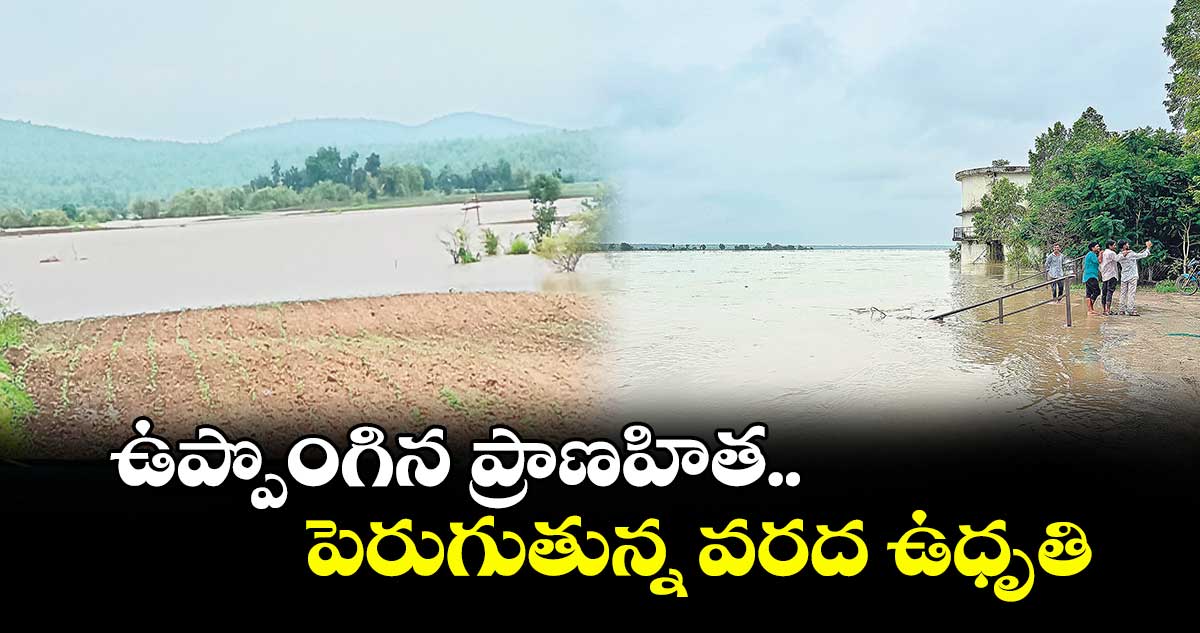 ఉప్పొంగిన ప్రాణహిత.. పెరుగుతున్న వరద ఉధృతి