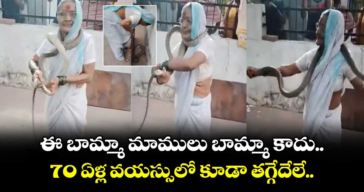 ఈ బామ్మా మాములు బామ్మా కాదు.. 70 ఏళ్ల వయస్సులో కూడా తగ్గేదేలే..