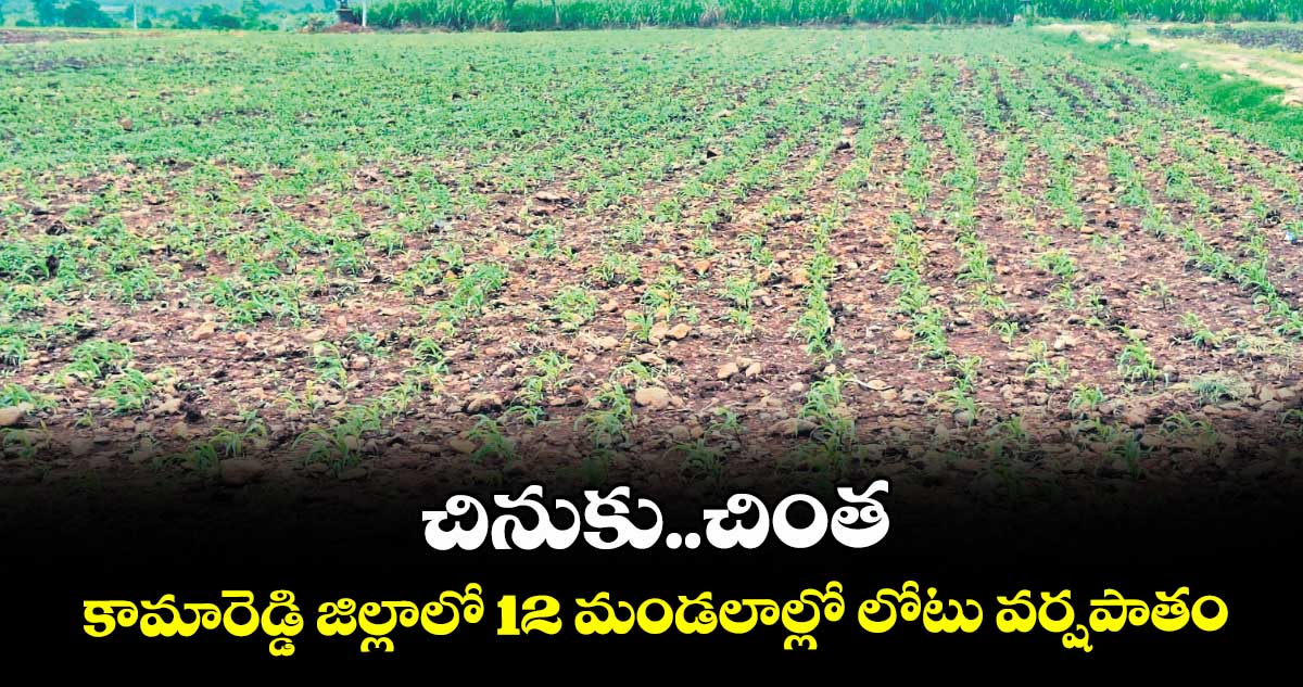 చినుకు..చింత .. కామారెడ్డి జిల్లాలో 12 మండలాల్లో లోటు వర్షపాతం