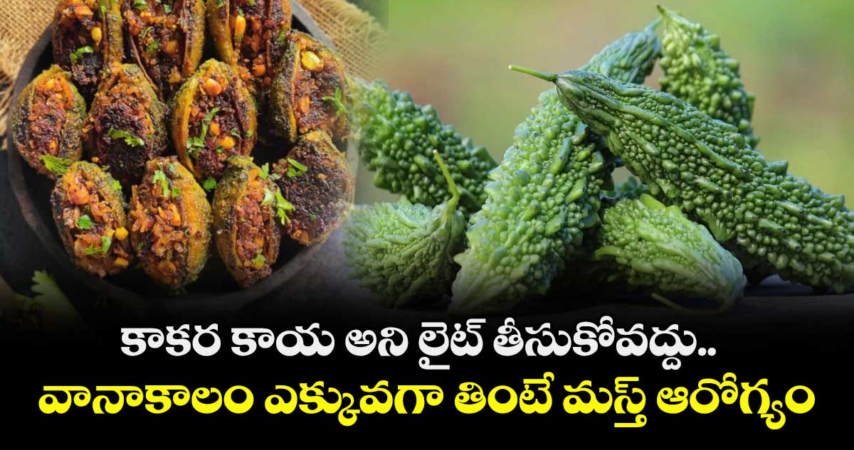 Good Food : కాకర కాయ అని లైట్ తీసుకోవద్దు.. వానాకాలం ఎక్కువగా తింటే మస్త్ ఆరోగ్యం