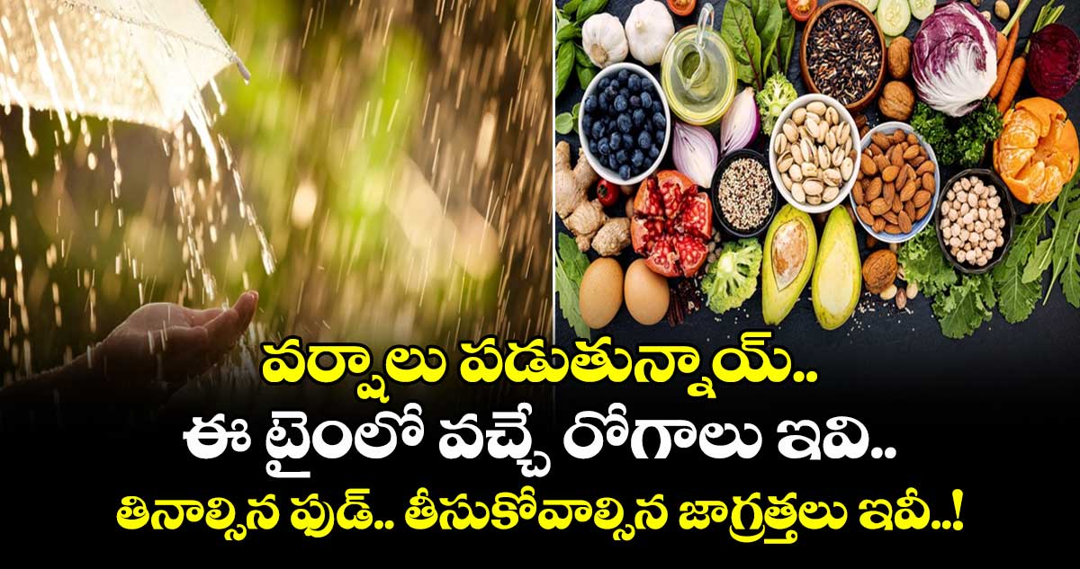 వర్షాలు పడుతున్నాయ్.. ఈ టైంలో వచ్చే రోగాలు ఇవి.. తినాల్సిన ఫుడ్.. తీసుకోవాల్సిన జాగ్రత్తలు ఇవీ..!