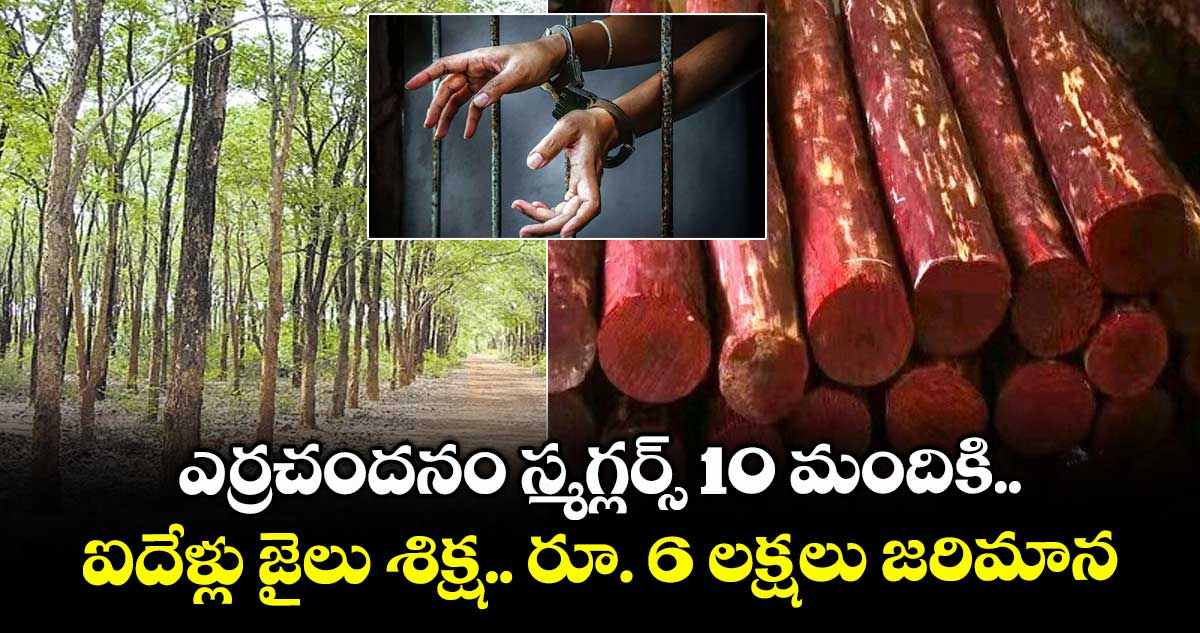 ఎర్రచందనం స్మగ్లర్స్ 10 మందికి ఐదేళ్లు జైలు శిక్ష.. రూ. 6 లక్షలు జరిమాన