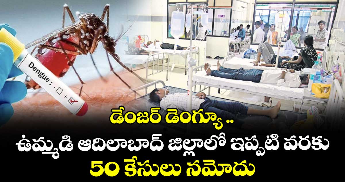 డేంజర్ డెంగ్యూ .. ఉమ్మడి ఆదిలాబాద్ జిల్లాలో ఇప్పటి వరకు 50 కేసులు నమోదు